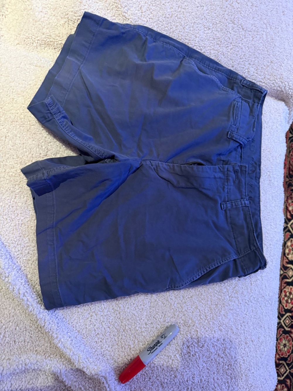 American Eagle Outfitters Dark Navy Flat-Front Men's Shorts